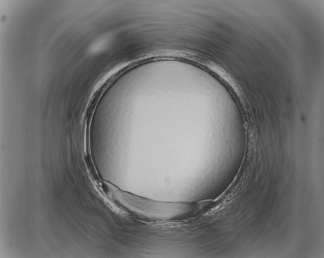 X0000085001127200703261121