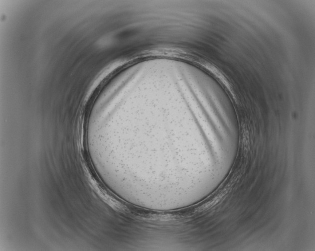 X0000085001131200703261122