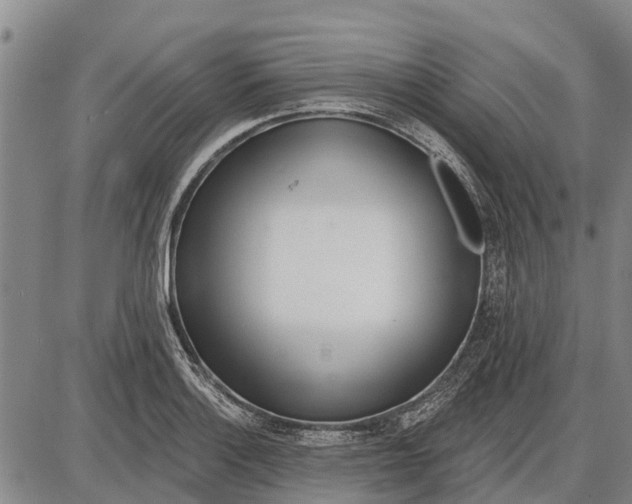 X0000085001132200703261122