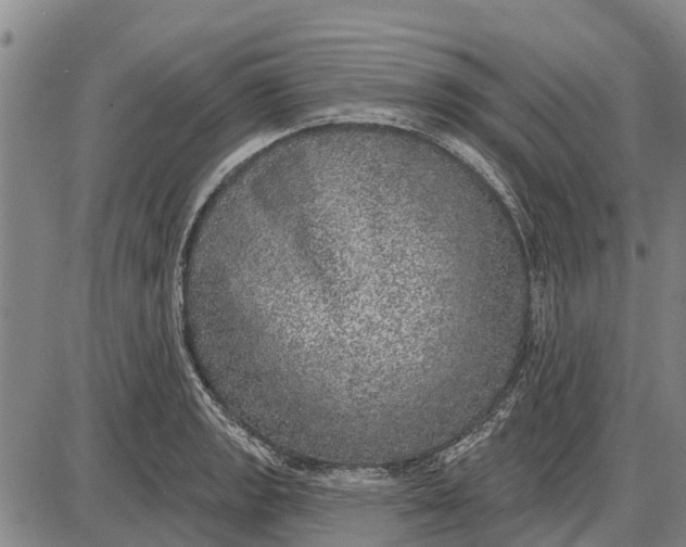 X0000085001133200703261122