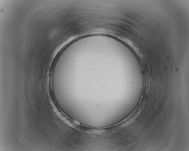 X0000085001134200703261122