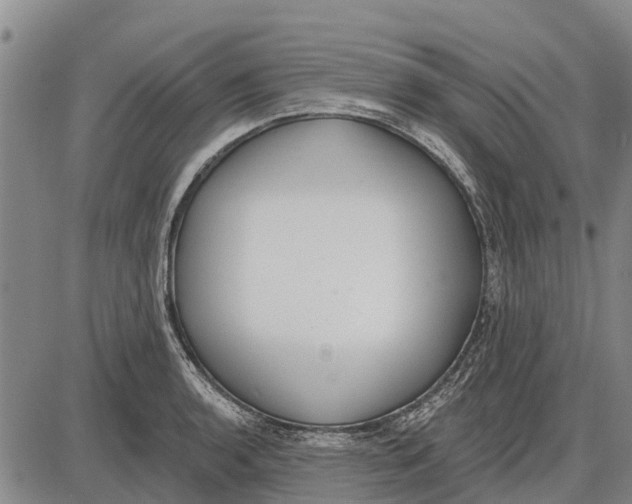 X0000085001136200703261122