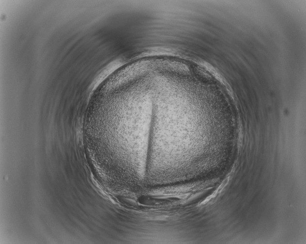 X0000085001137200703261122