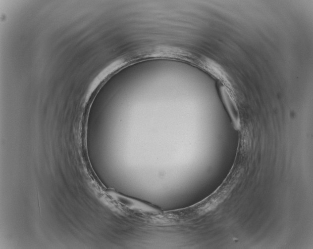 X0000085001138200703261122