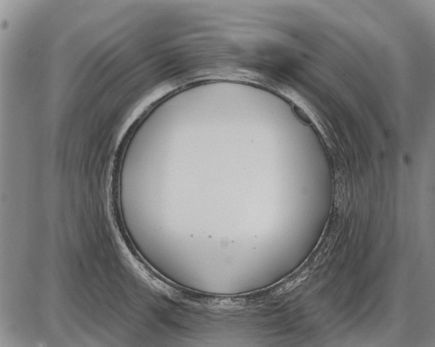 X0000085001139200703261122