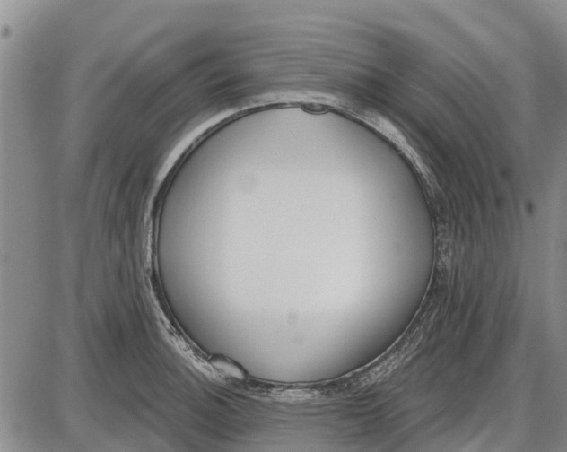 X0000085001140200703261122