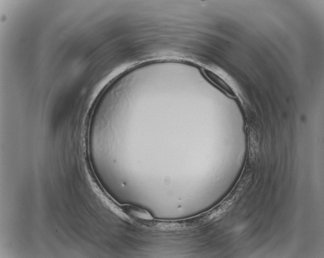 X0000085001142200703261122