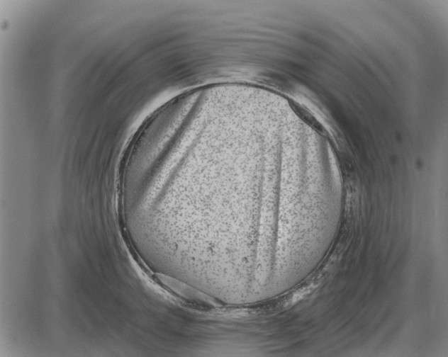 X0000085001143200703261122