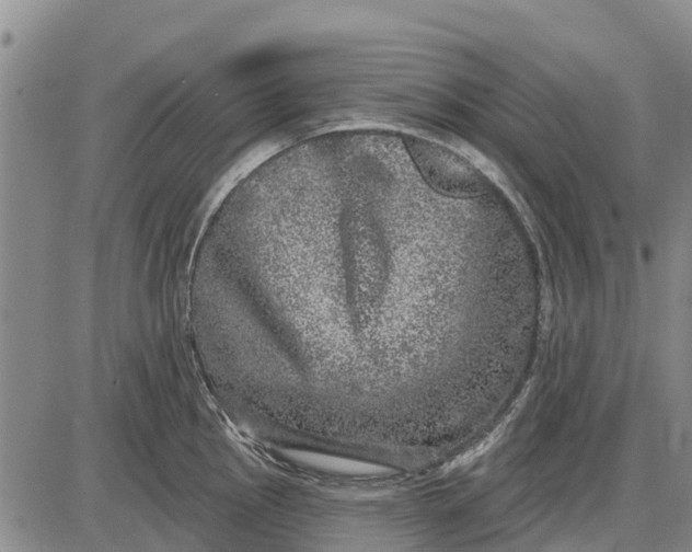 X0000085001145200703261122