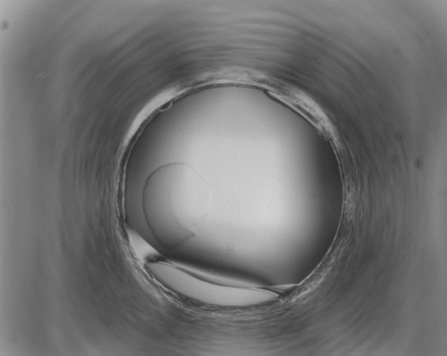 X0000085001146200703261122