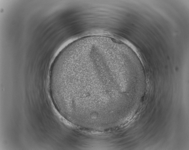 X0000085001147200703261122