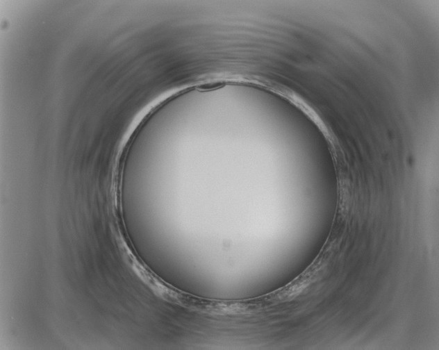 X0000085001148200703261122