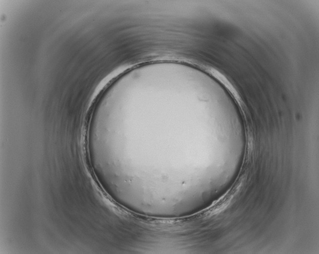 X0000085001149200703261122