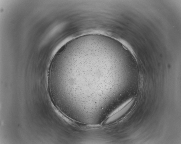 X0000085001151200703261122