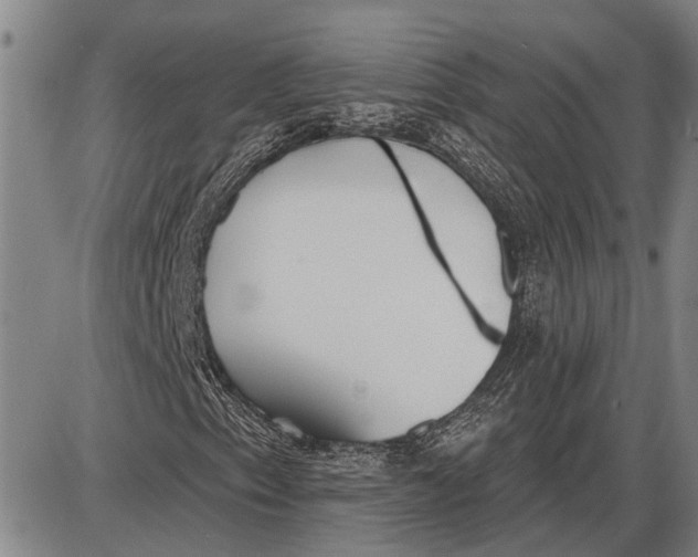 X0000085001153200703261121