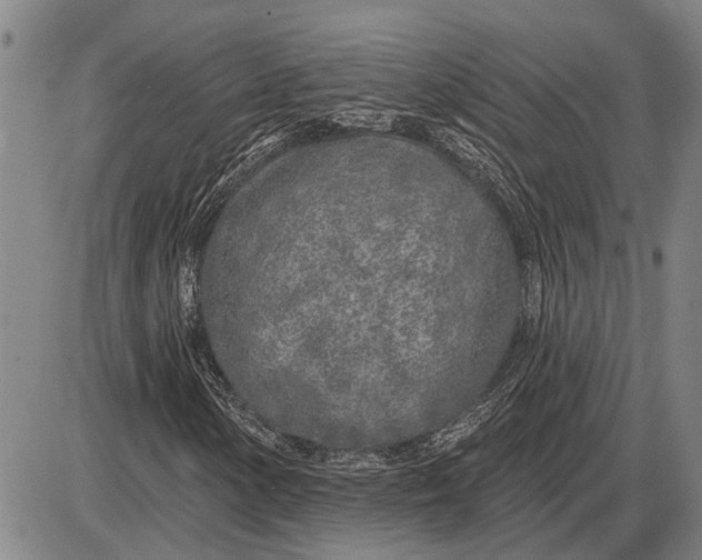 X0000085001154200703261121