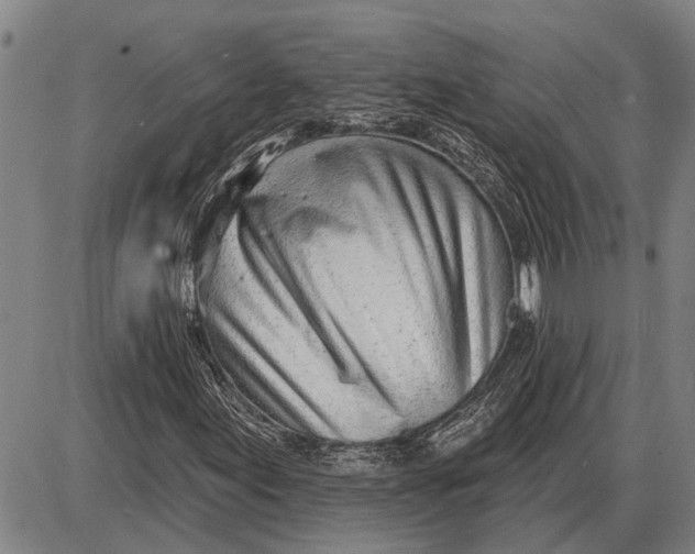 X0000085001155200703261121