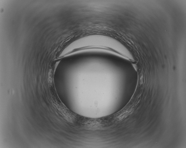 X0000085001156200703261121