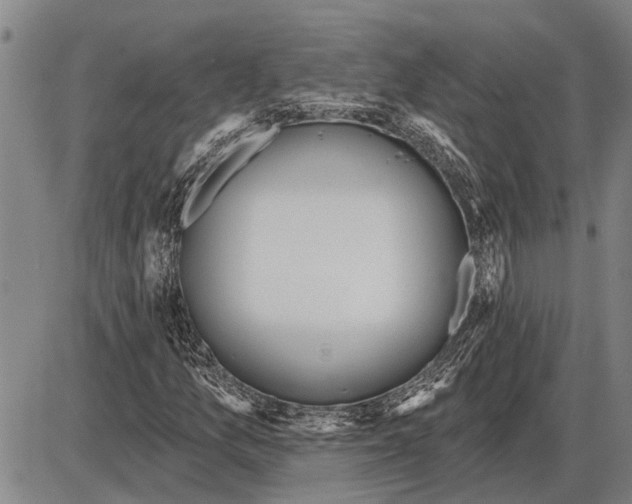 X0000085001157200703261121