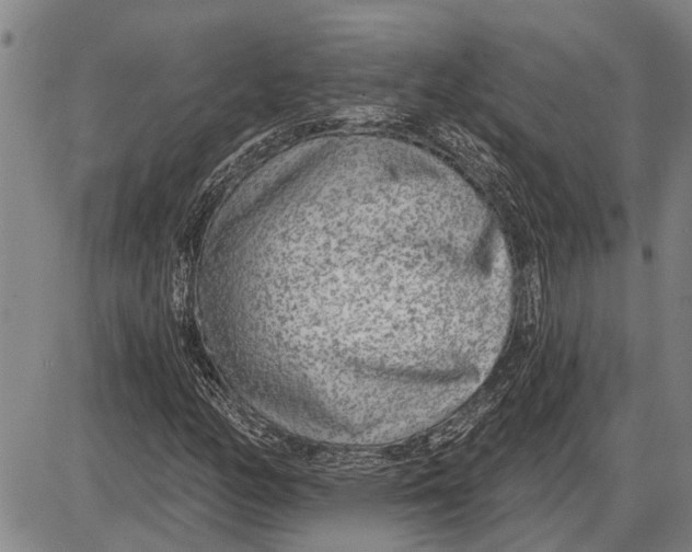 X0000085001158200703261121