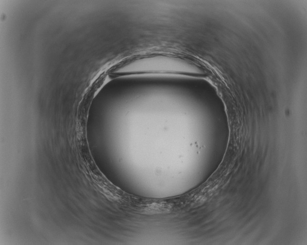 X0000085001160200703261121