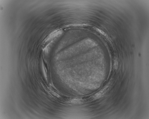 X0000085001161200703261121