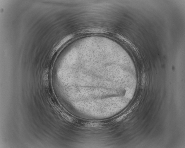 X0000085001162200703261121