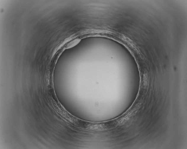 X0000085001165200703261121