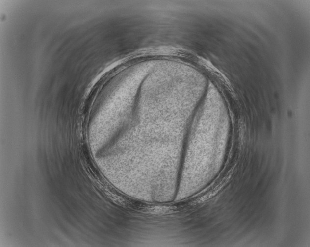 X0000085001166200703261121