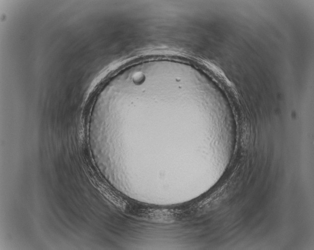 X0000085001167200703261121