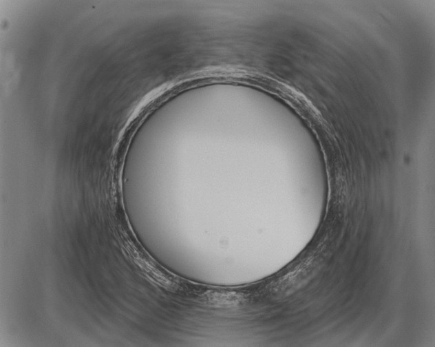 X0000085001168200703261121