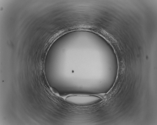 X0000085001169200703261121