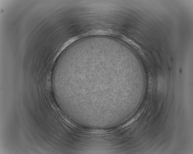 X0000085001170200703261121