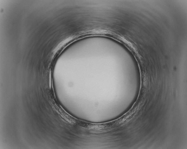 X0000085001171200703261121