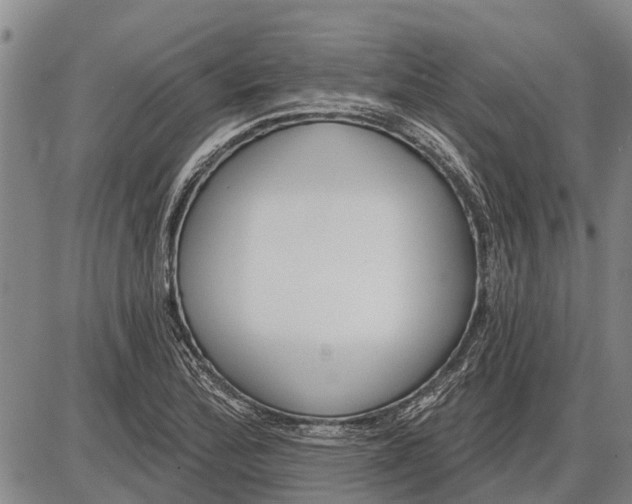 X0000085001172200703261121