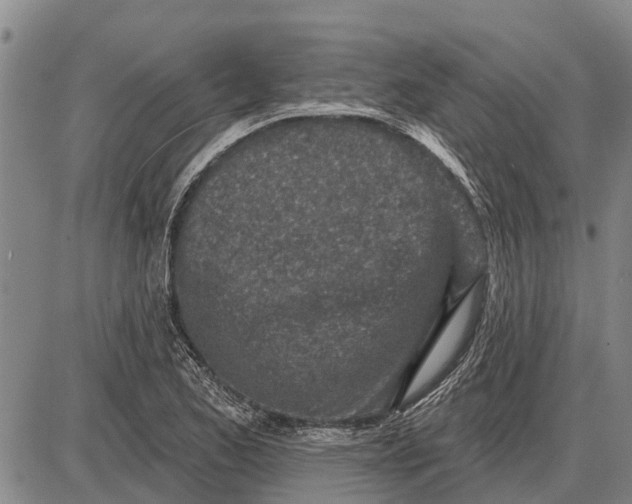 X0000085001173200703261121