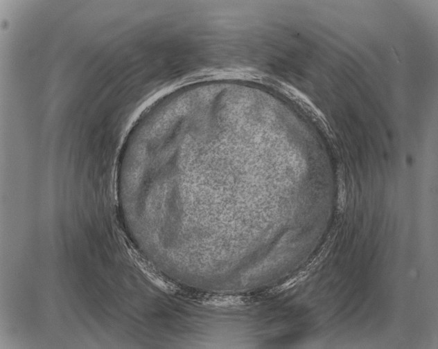 X0000085001174200703261121