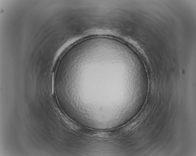 X0000085001175200703261121