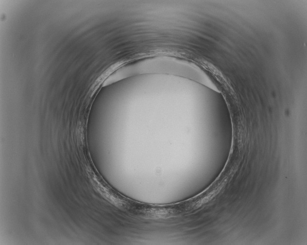 X0000085001177200703261121