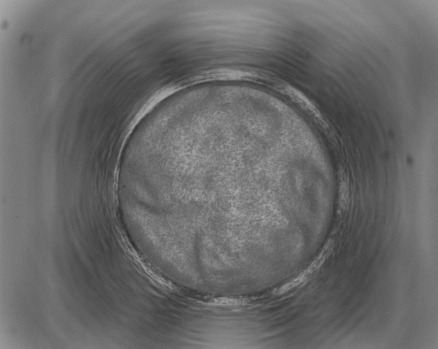 X0000085001178200703261121