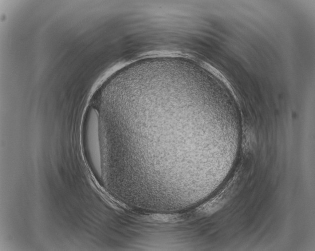 X0000085001179200703261121