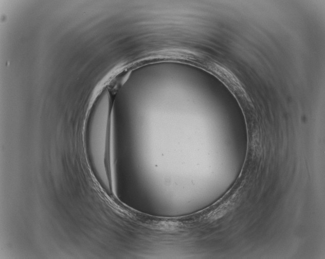 X0000085001180200703261121