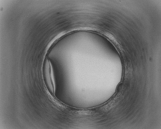 X0000085001181200703261121