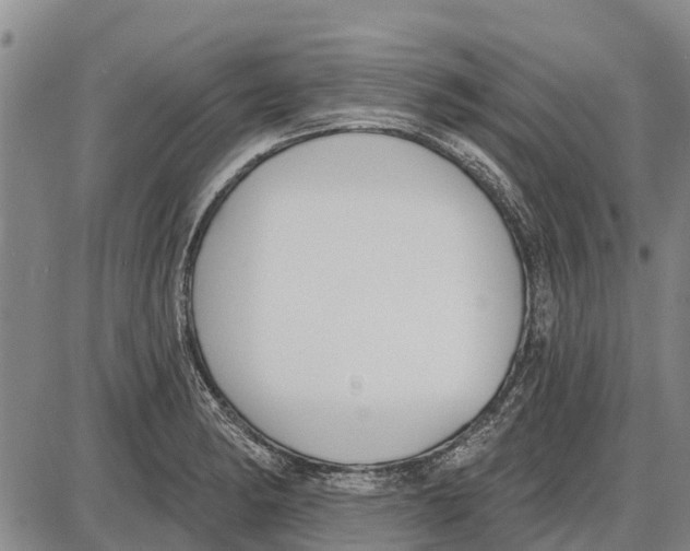 X0000085001182200703261121