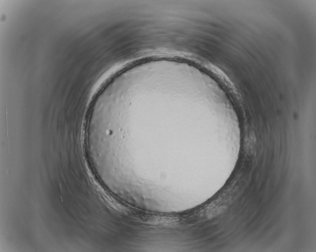 X0000085001183200703261121