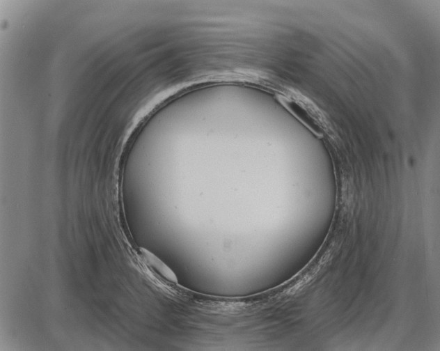 X0000085001184200703261121