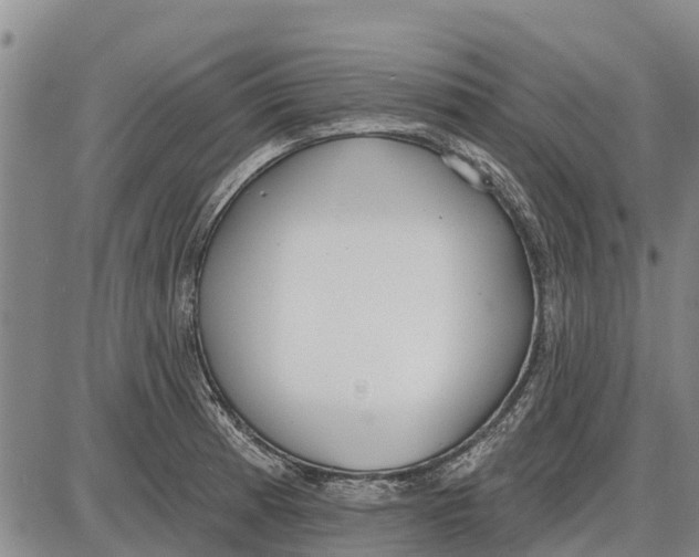 X0000085001185200703261121