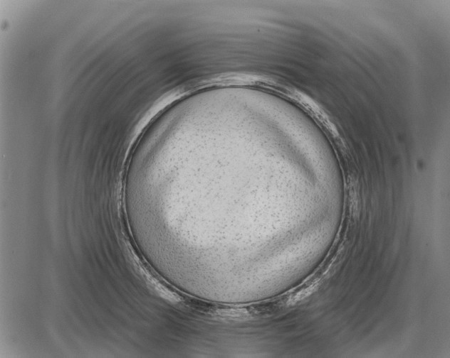 X0000085001186200703261121