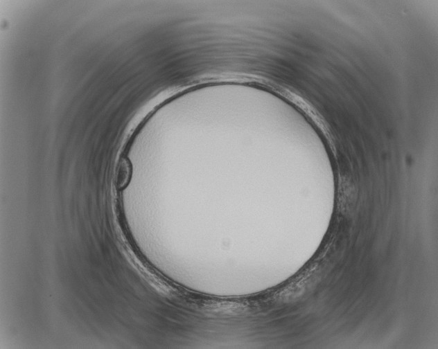 X0000085001187200703261121