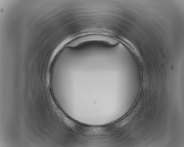 X0000085001188200703261121